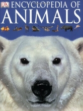 Cover art for Encyclopedia of Animals