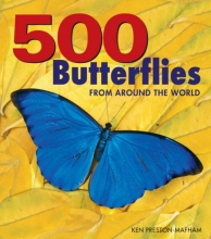 Cover art for 500 Butterflies: From  Around the World