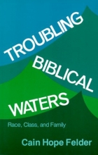 Cover art for Troubling Biblical Waters: Race, Class, and Family (Bishop Henry McNeal Turner Studies in North American Black R)