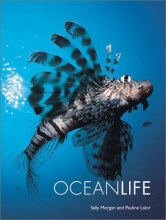 Cover art for Ocean Life