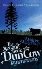 Cover art for The Second Book of the Dun Cow: Lamentations