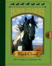 Cover art for Horse Diaries #8: Black Cloud