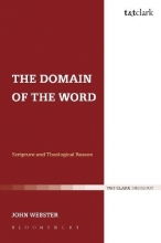 Cover art for The Domain of the Word: Scripture and Theological Reason