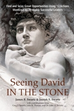 Cover art for Seeing David in the Stone