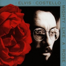 Cover art for Mighty Like a Rose