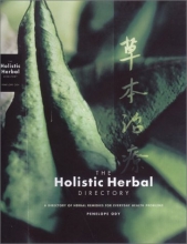 Cover art for The Holistic Herbal Directory: A Directory of Herbal Remedies for Everyday Health Problems