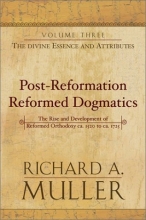 Cover art for Post-Reformation Reformed Dogmatics, Vol. 3: The Divine Essence and Attributes