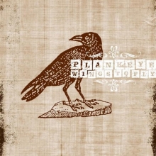 Cover art for Wings to Fly