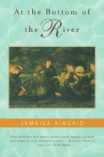 Cover art for At the Bottom of the River