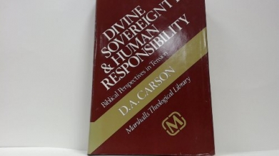 Cover art for Divine Sovereignty and Human Responsibility: Biblical Perspectives in Tension