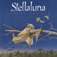 Cover art for Stellaluna