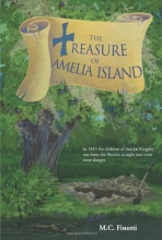 Cover art for The Treasure of Amelia Island (Florida Historical Fiction for Youth)