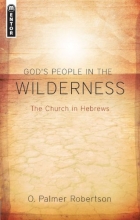 Cover art for God's People in the Wilderness: The Church in Hebrews (Risktakers)