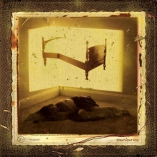 Cover art for Straylight Run