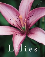Cover art for Lilies