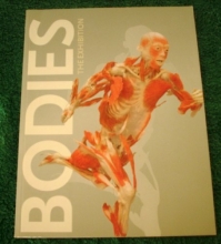 Cover art for Bodies The Exhibition