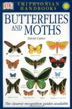 Cover art for Smithsonian Handbooks: Butterflies & Moths