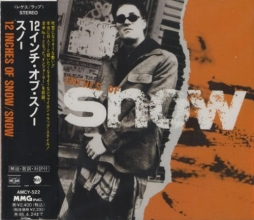 Cover art for 12 Inches Of Snow