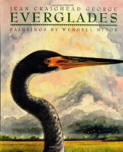 Cover art for Everglades