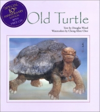 Cover art for Old Turtle with CD (Audio)