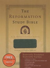 Cover art for The Reformation Study Bible - Imitation Leather-Gray