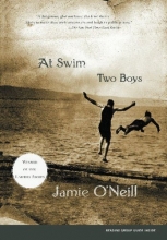 Cover art for At Swim, Two Boys: A Novel