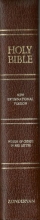 Cover art for The Holy Bible New International Version Containing the Old and New Testaments (vii)
