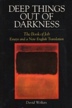Cover art for Deep Things Out of Darkness: The Book of Job, Essays and a New English Translation