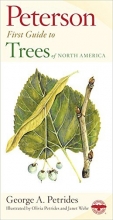 Cover art for Peterson First Guide to Trees