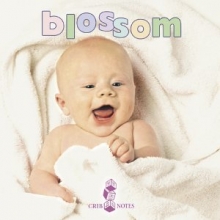 Cover art for Bedtime Songs For Babies: Blossom