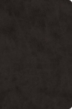 Cover art for ESV Value Compact Bible (TruTone)