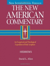 Cover art for Hebrews: An Exegetical and Theological Exposition of Holy Scripture (The New American Commentary)
