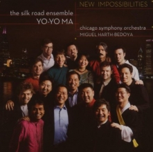 Cover art for New Impossibilities
