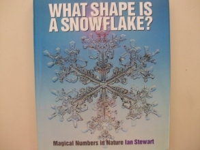 Cover art for What Shape is a Snow Flake?: Magic Numbers in Nature