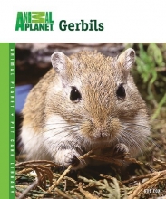 Cover art for Gerbils (Animal Planet Pet Care Library)