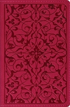 Cover art for The Holy Bible: English Standard Version, Compact TruTone Edition (Wild Rose, Floral Design, Red Letter)