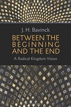 Cover art for Between the Beginning and the End: A Radical Kingdom Vision