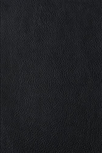 Cover art for The Four Holy Gospels, English Standard Version