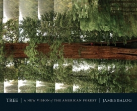 Cover art for Tree: A New Vision of the American Forest