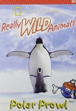 Cover art for Really Wild Animals: Polar Prowl 