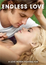 Cover art for Endless Love