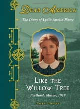 Cover art for Dear America: Like the Willow Tree