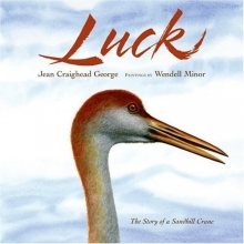 Cover art for Luck (Outdoor Adventures)