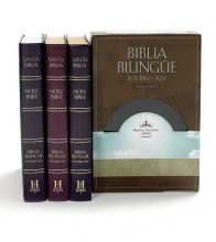 Cover art for Santa Biblia  (Spanish and English Edition)