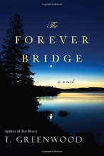 Cover art for The Forever Bridge