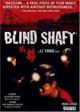 Cover art for Blind Shaft