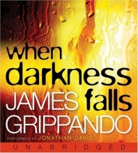 Cover art for When Darkness Falls CD (Jack Swyteck Novel)