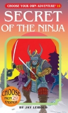 Cover art for Secret of the Ninja (Choose Your Own Adventure #16)