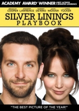 Cover art for Silver Linings Playbook
