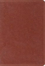 Cover art for ESV Giant Print Bible (TruTone, Brown)